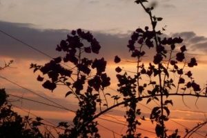 Fear of Change: 3 Most Common Excuses Used to Hide Behind It