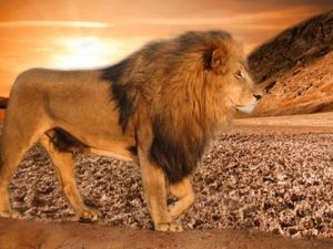 Accepting Your Scars: What Does Being Real Mean to You?