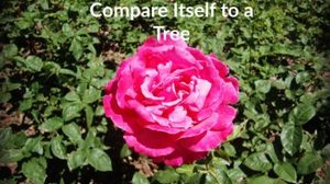 Discover 2 secrets to create the life you want