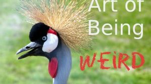 Art of being weird