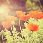 being grateful