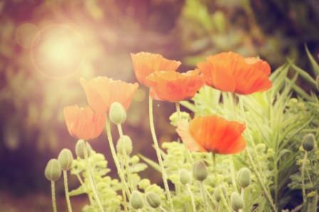 being grateful